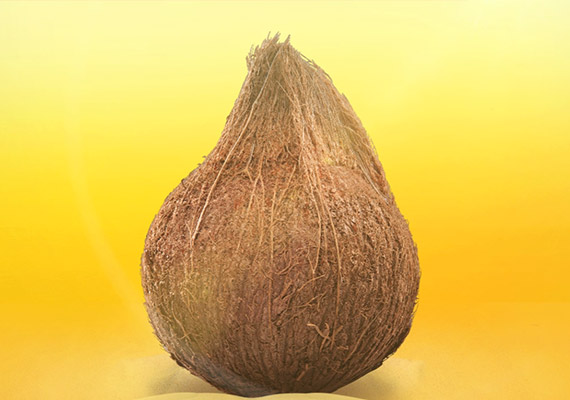 M&S Santan Kelapa