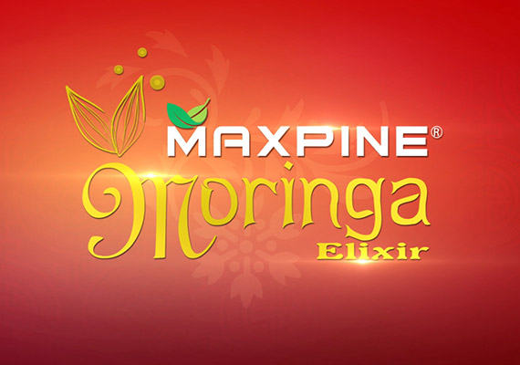 Maxpine Moringa CNY